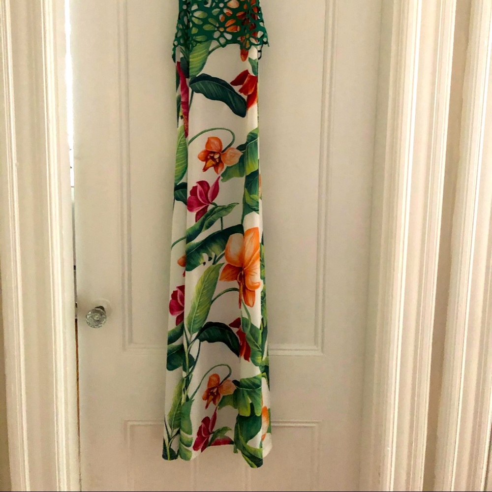 Venus maxi M